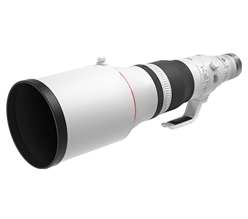 RF 鏡頭- RF600mm F4 L IS USM - 佳能香港